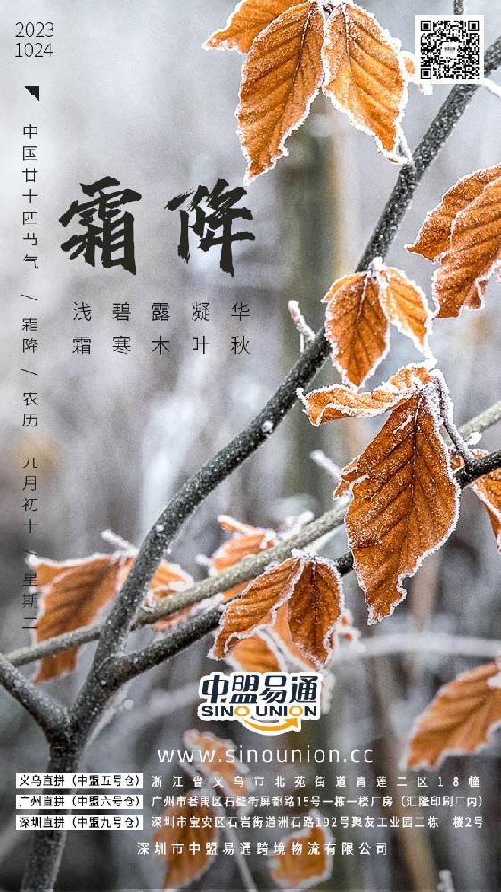 1698130943188662.jpg 8711695700685_.pic.jpg